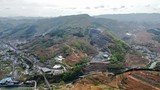 文章附图